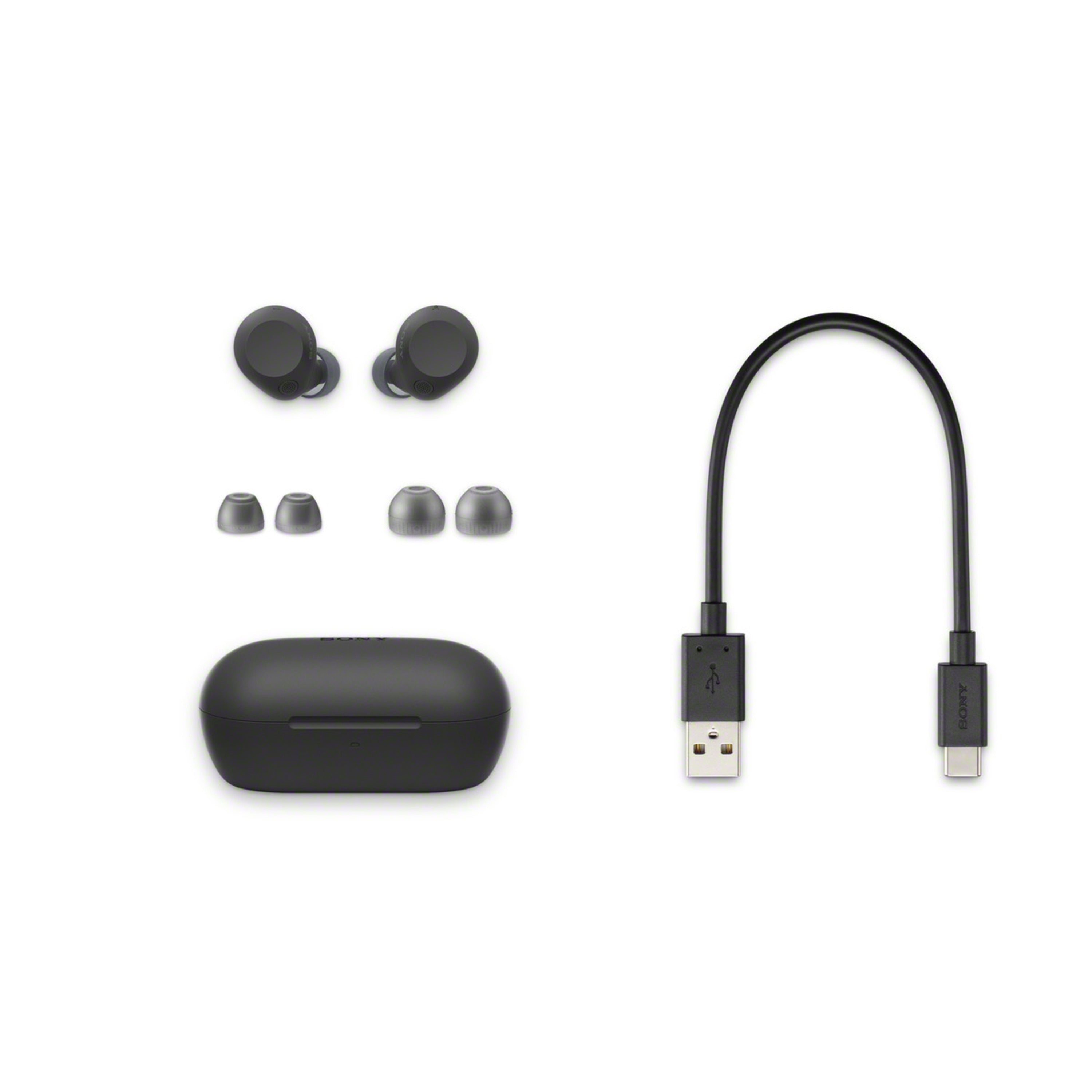 WF-C710N Truly Wireless Noise-Cancelling Earbuds