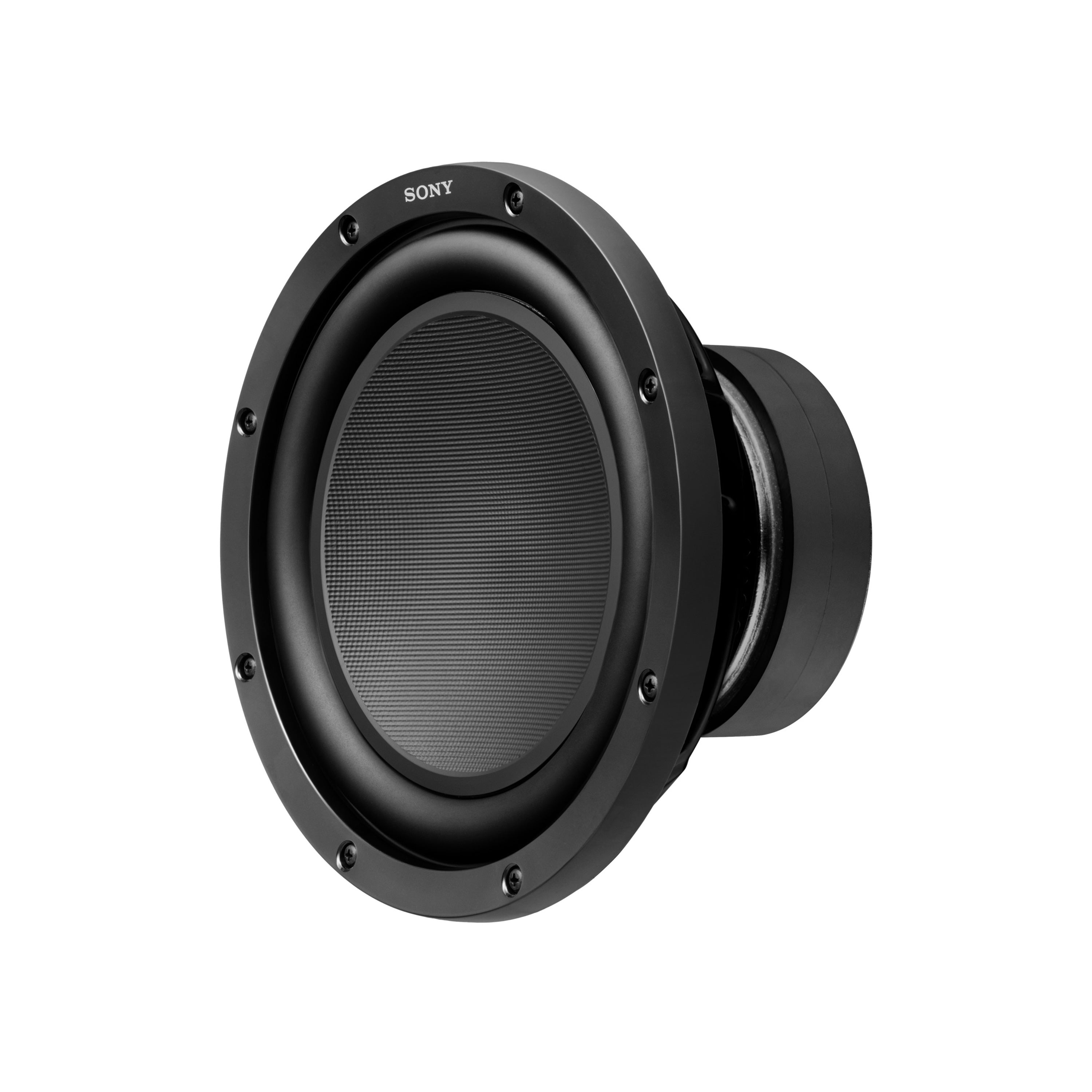 Sony 10 hot sale subwoofer