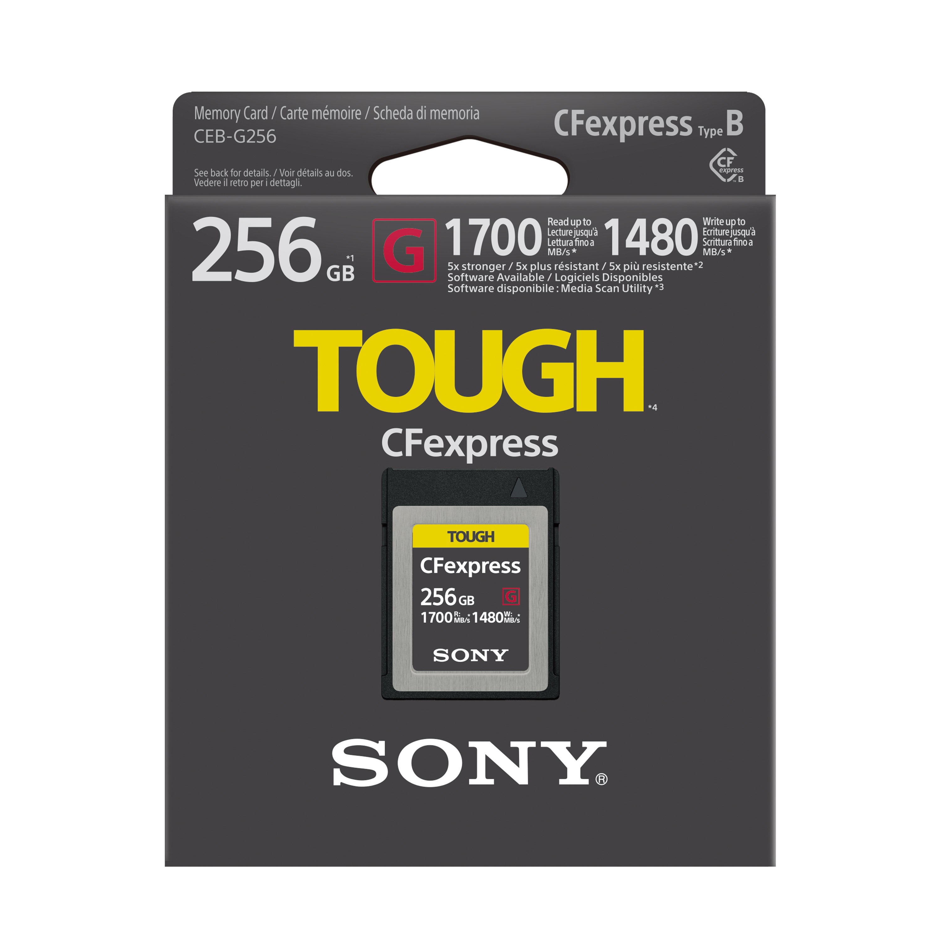 CEB-G Series CFexpress Type B 256GB Memory Card