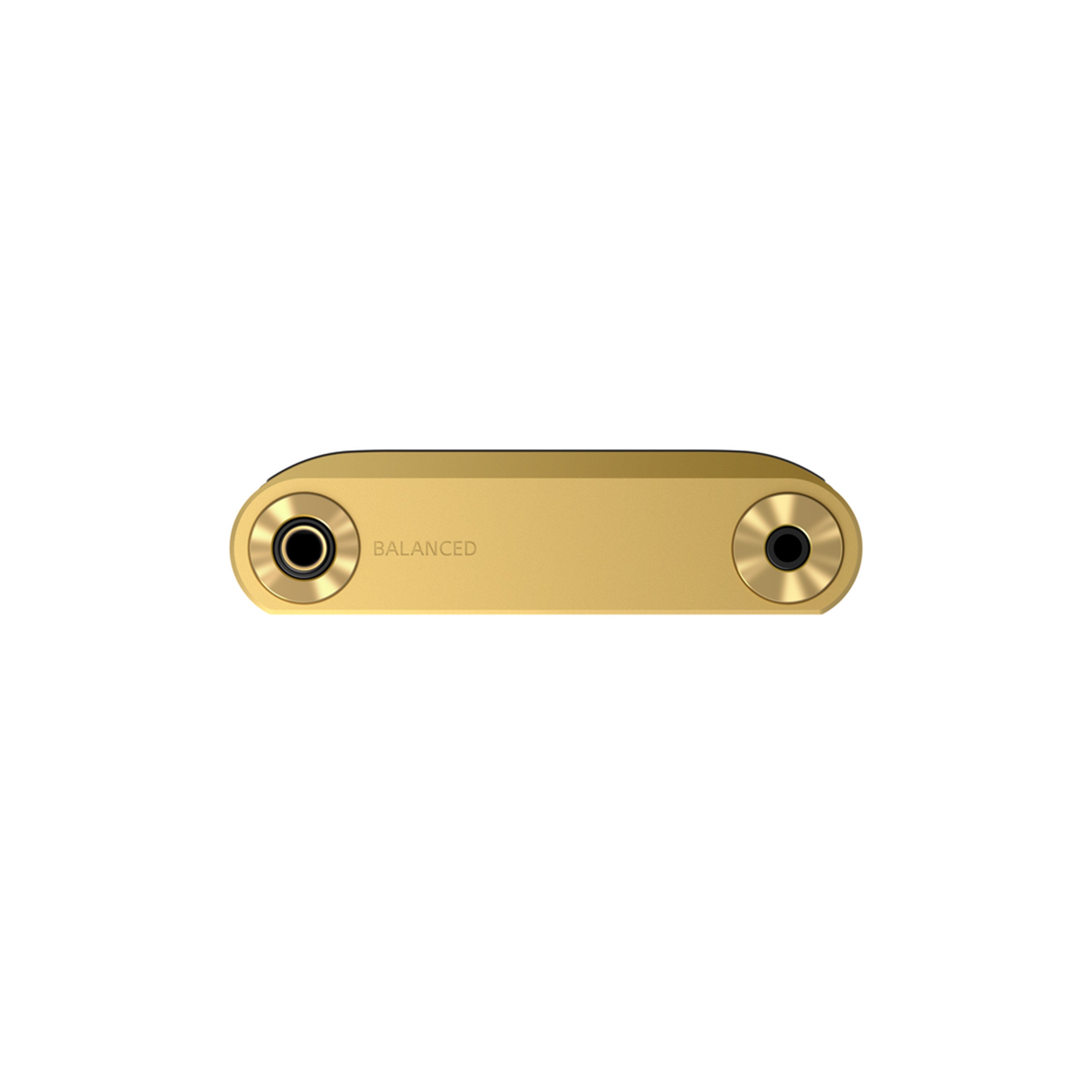 NW-WM1ZM2 Signature Series Premium Digital Music Player
