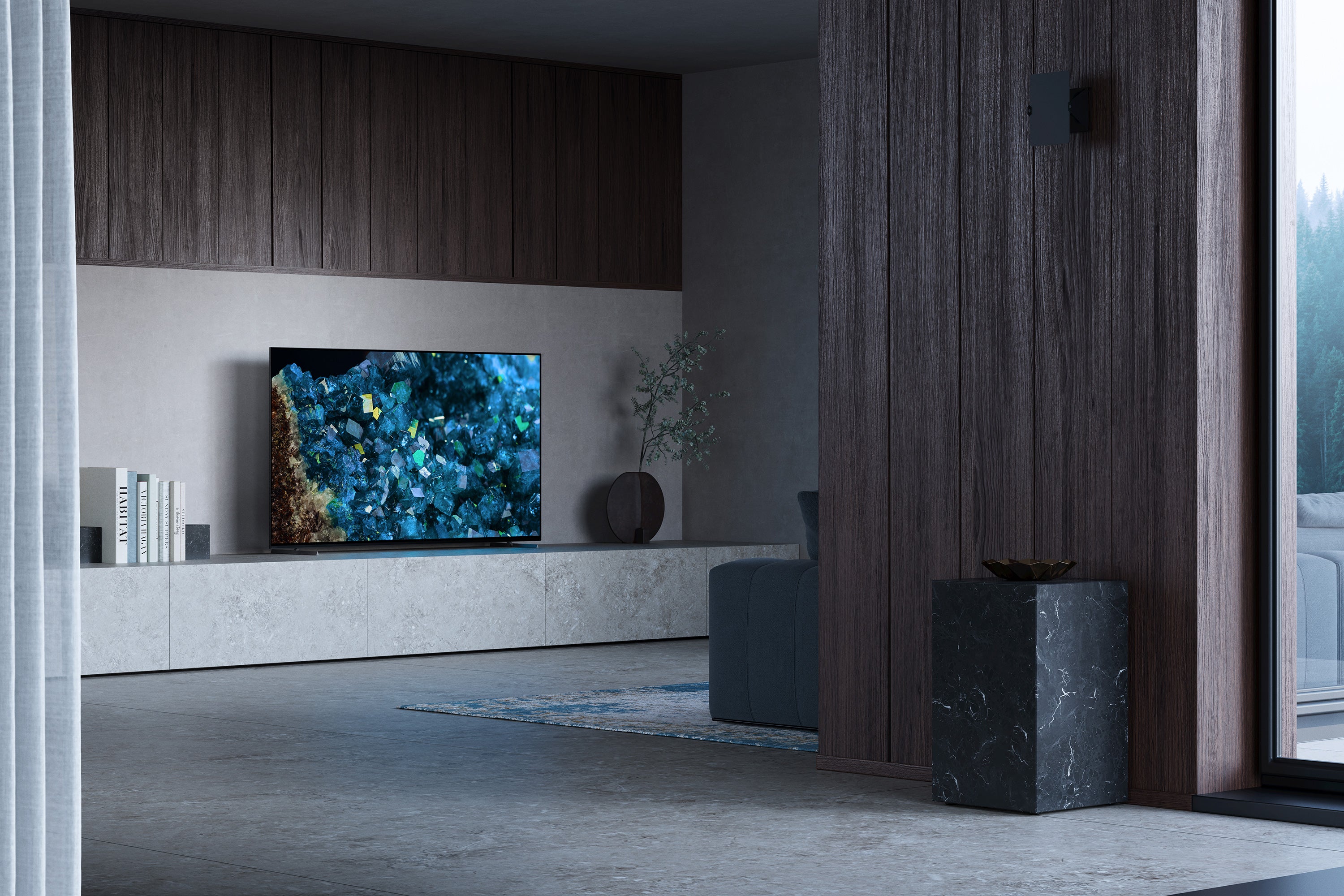 A80L BRAVIA XR | OLED | 4K HDR TV | Smart TV (Google TV)